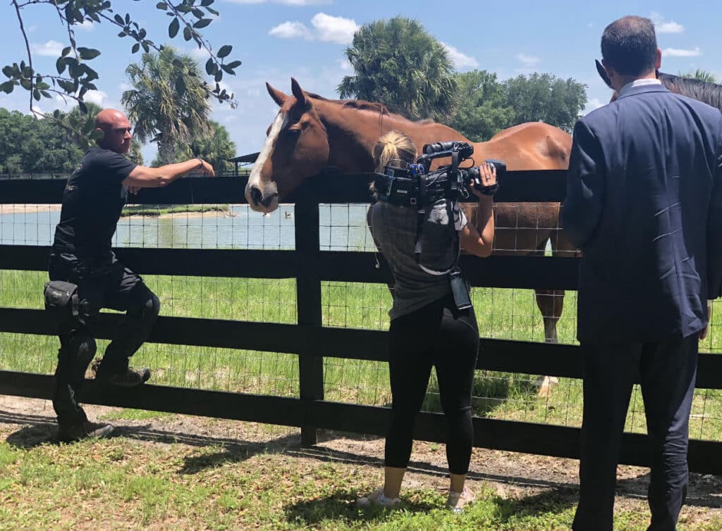A man and woman standing next to a horse.