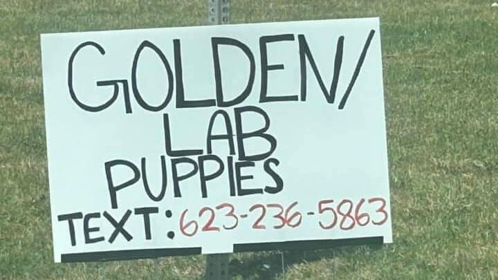 A sign that is on top of a pole.