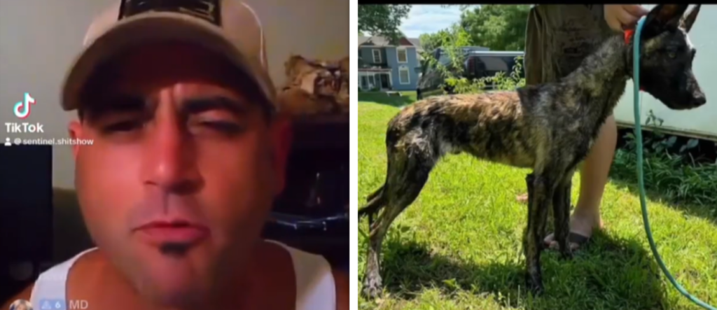 A man in a baseball cap and a dog