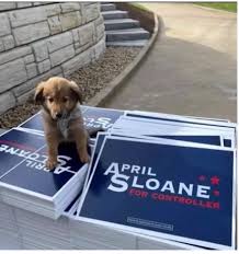 A puppy sitting on top of some political signs.
