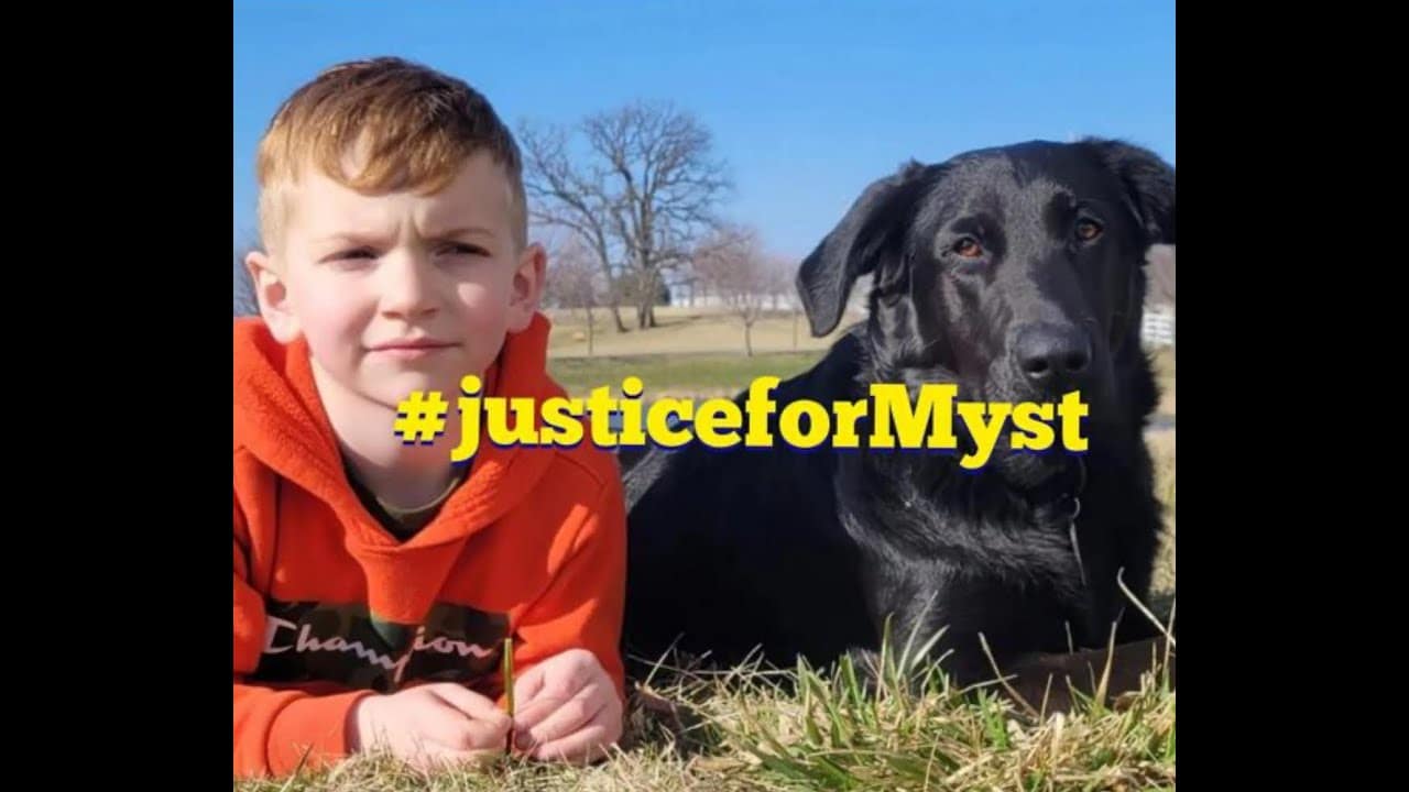A boy and his dog laying in the grass.