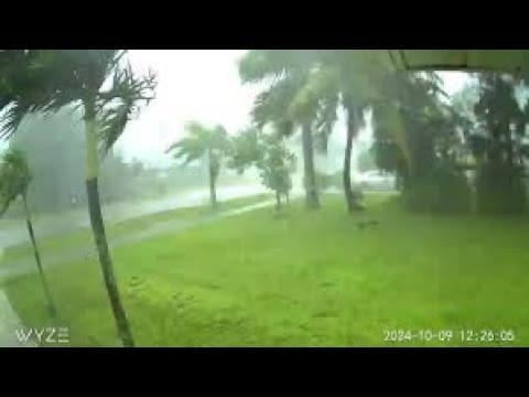 A video of the rain falling in the yard.