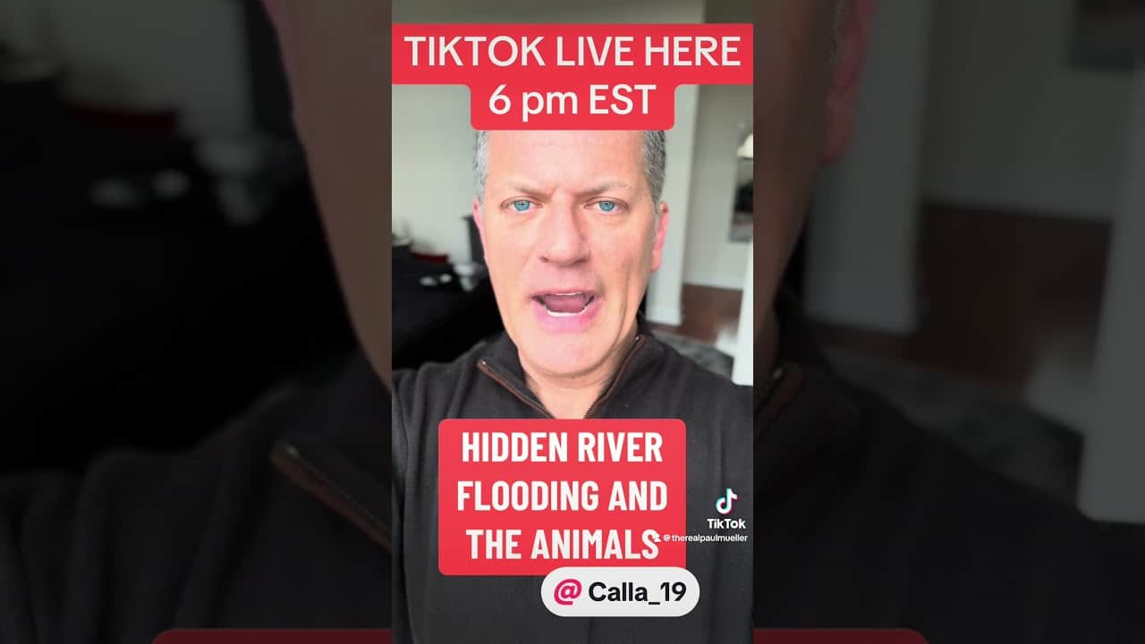 A man is on the tiktok live stream.
