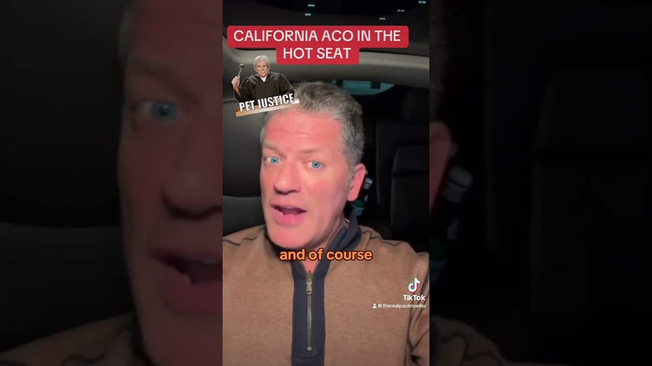A man in the back of a car with his mouth open.