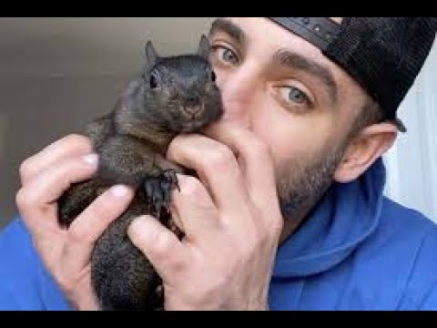 A man holding a squirrel in his hands.