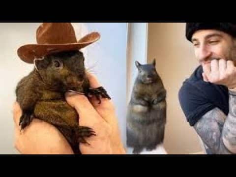 A person holding an animal in front of a mirror