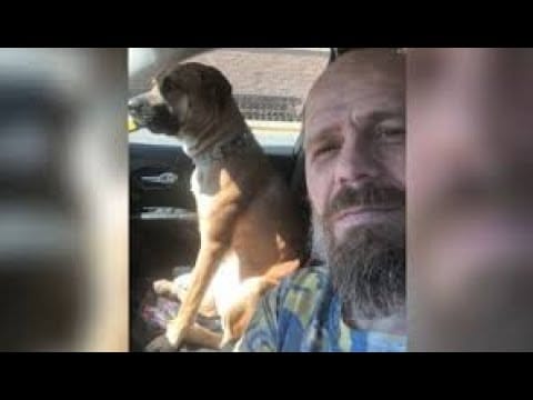 A man and his dog are sitting in the car.