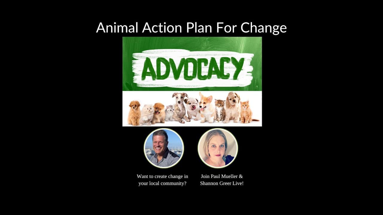 A picture of two people and the words animal action plan for change.