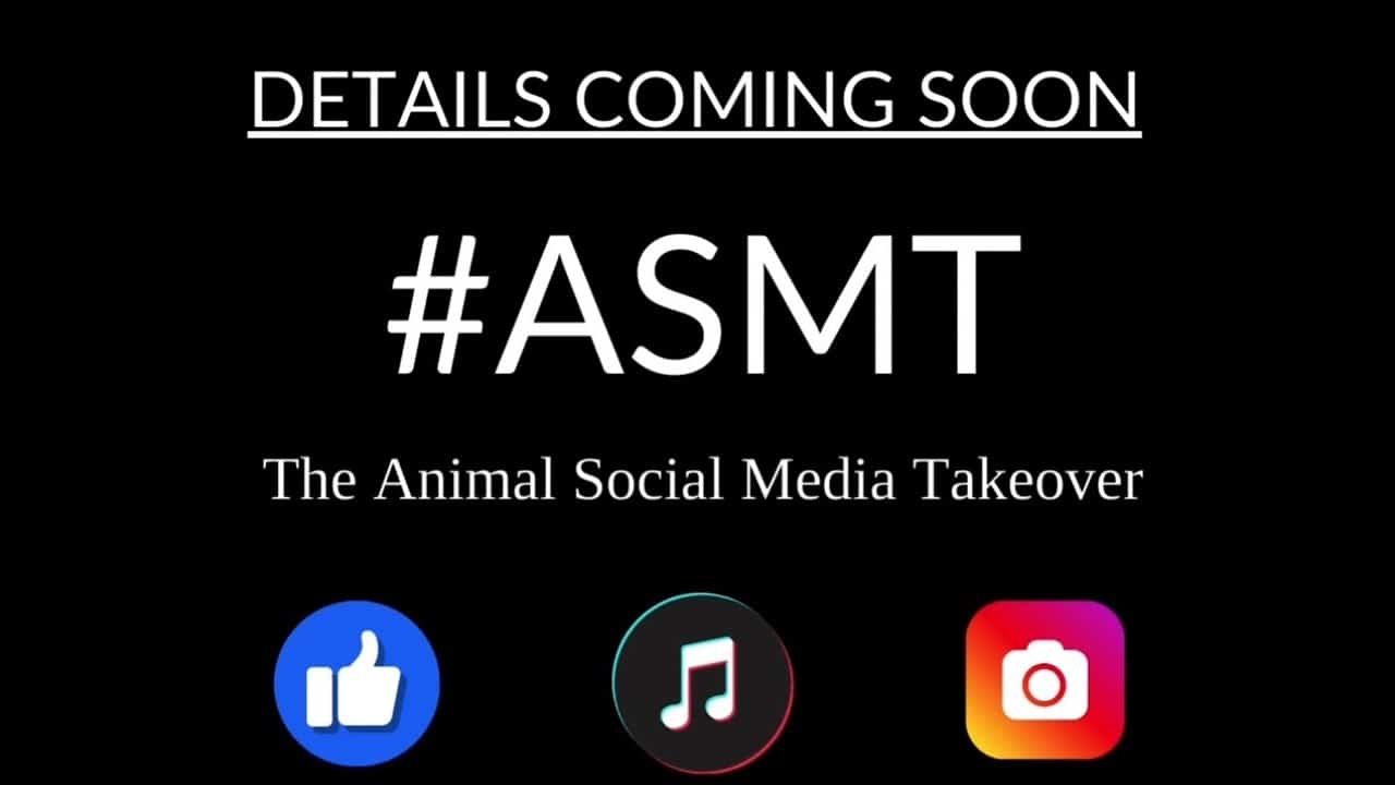 A black background with the words " details coming soon # asmt ".