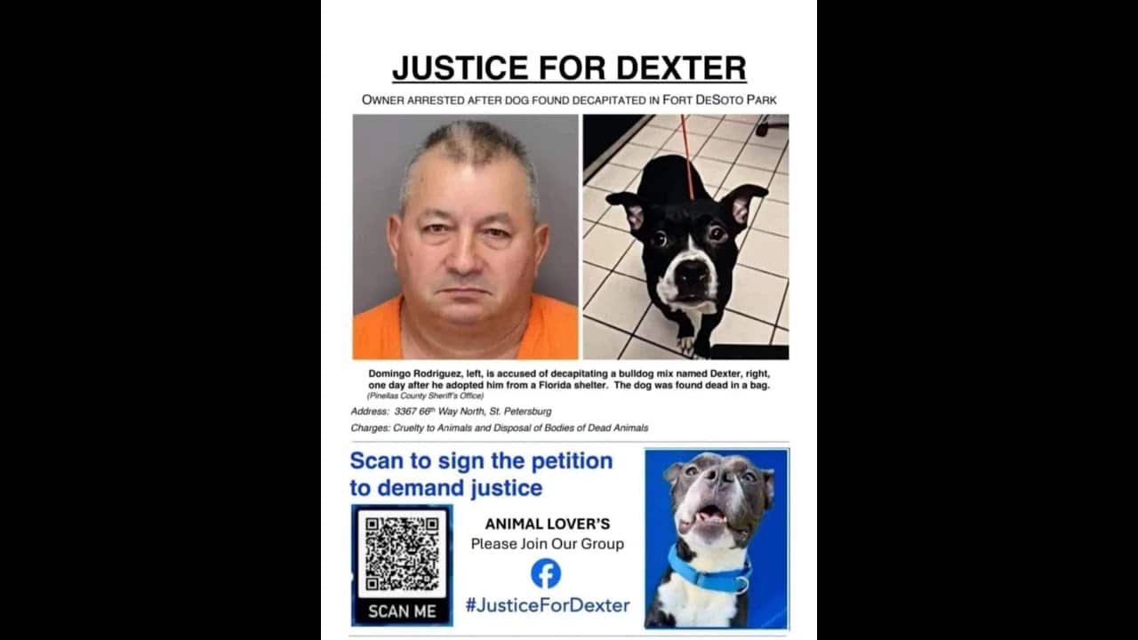 A poster of a man and a dog.