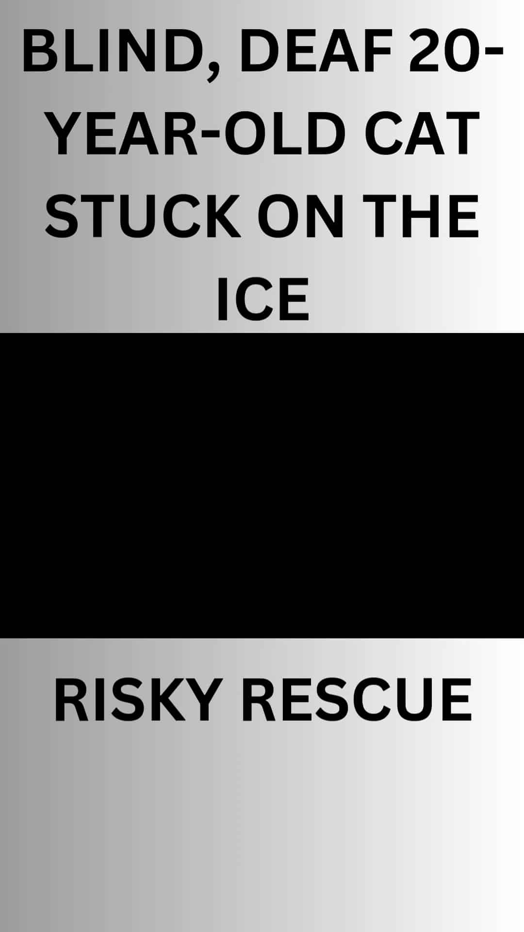 A black and white picture of a sign with the words stuck on the ice risky rescue.