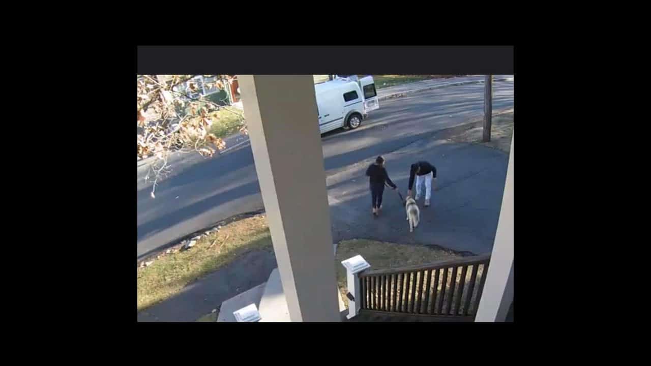 Two people walking down a street with a van.
