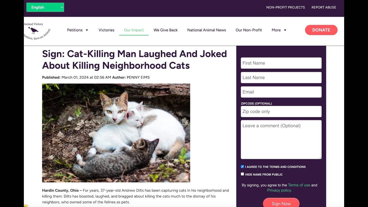 A screenshot of an article on the cat-killing man.