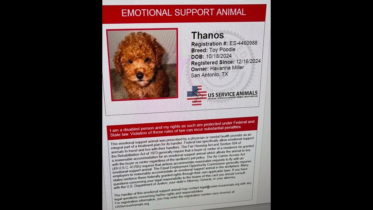A dog 's emotional support animal card is displayed.