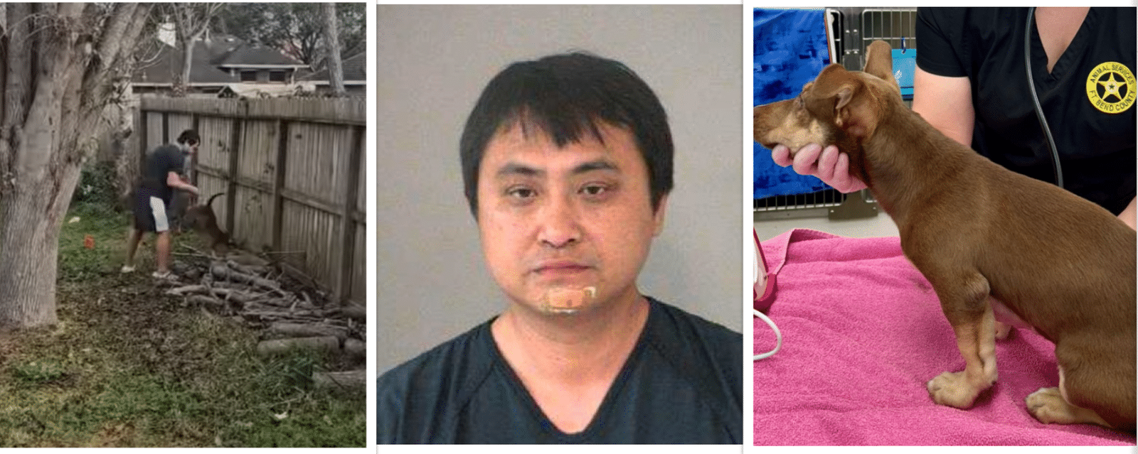 A man with black hair and glasses is in the middle of three photos.