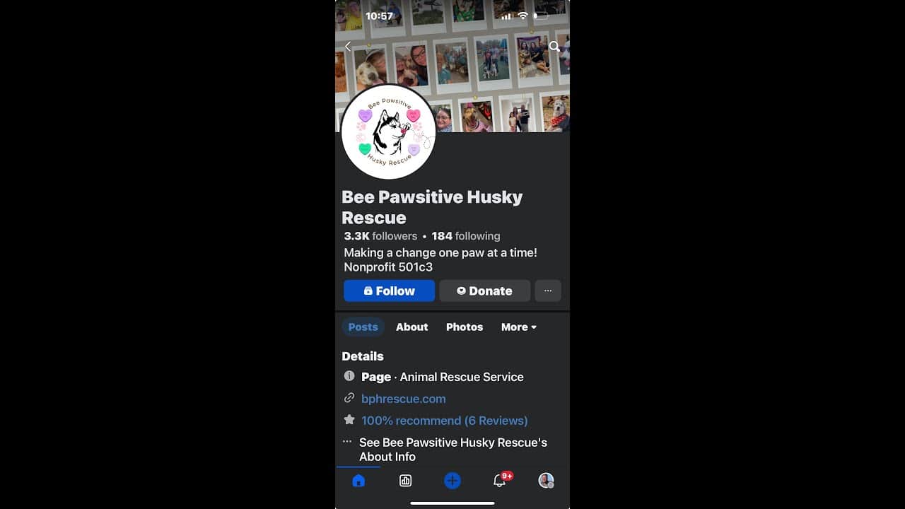 A screen shot of the profile page for the boo pawsitive husky rescue.