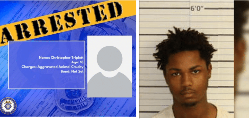 A wanted poster and a mugshot of a man.