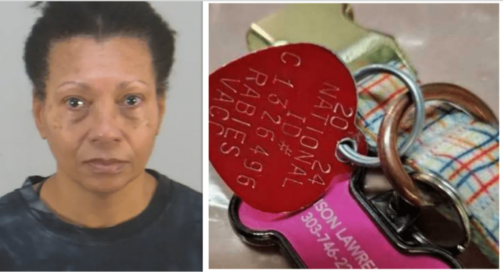 Woman and dog collar with tags.