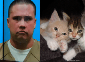 A man in prison and two kittens