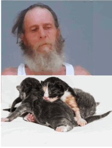 A man with long hair and beard, and two cats.