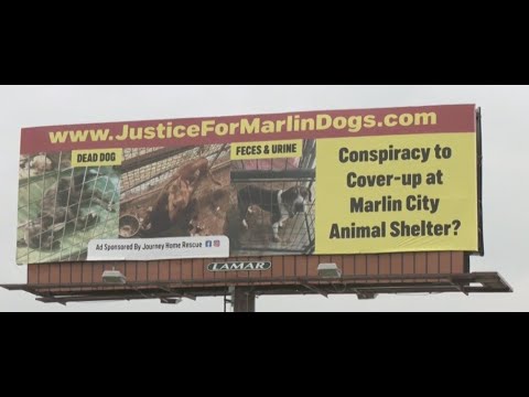 A billboard with animal shelter ads on it.
