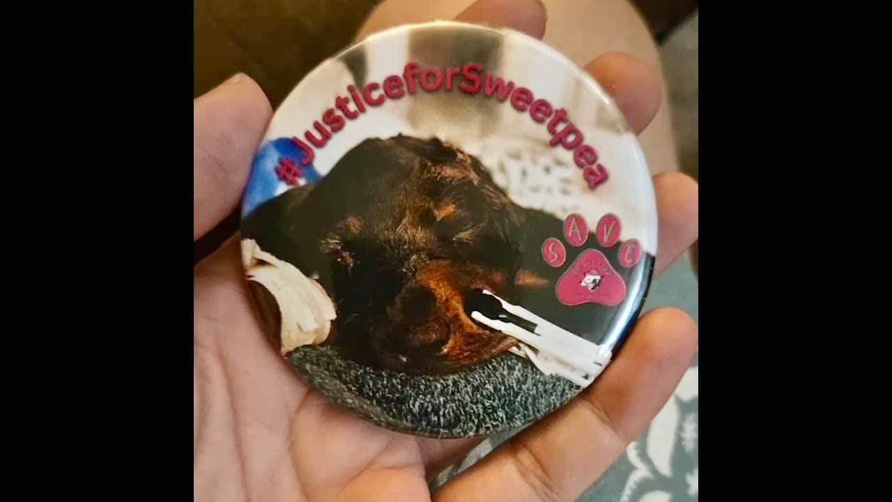 A button that says " justice for sweetpea ".