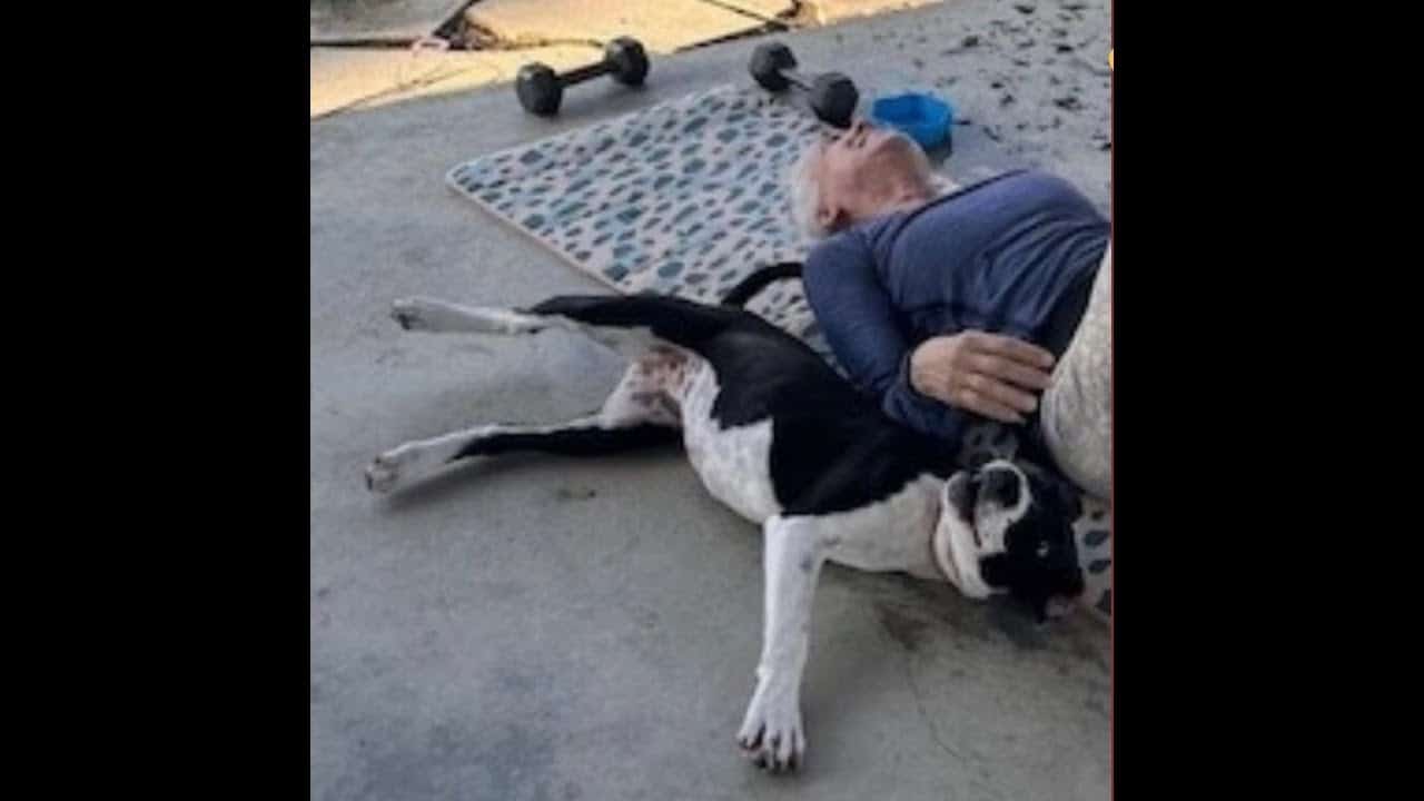 A man and his dog are laying on the ground.