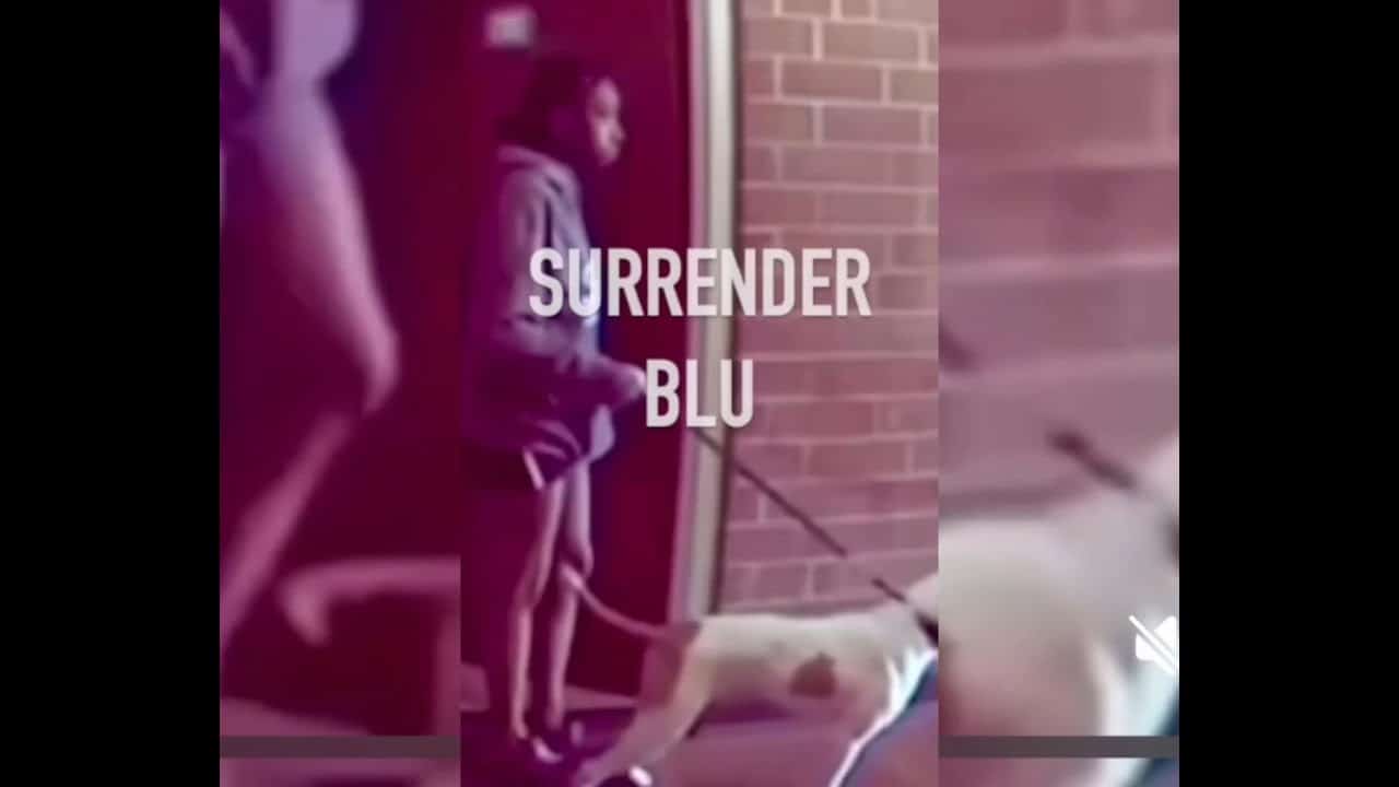 A girl is walking her dog in front of the door.